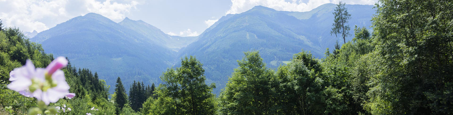 Biobauernhof in einer blühenden Naturlandschaft