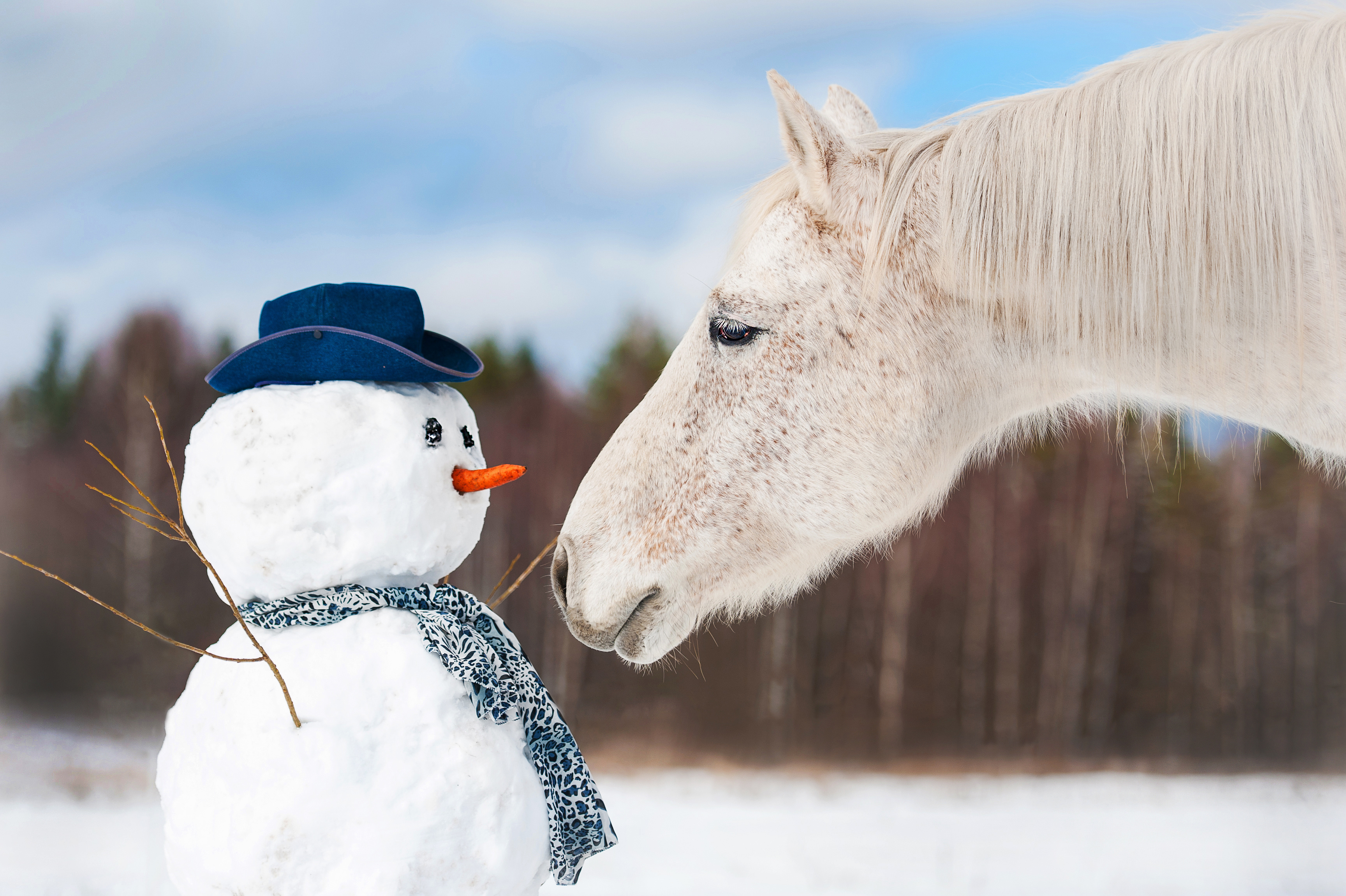 Winterferien mit Pferden auf dem Biobauernhof